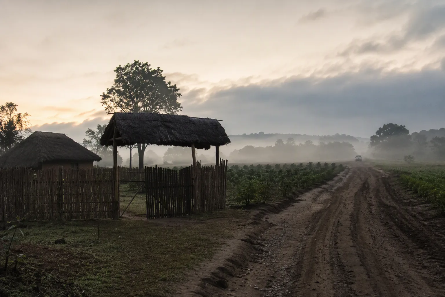A misty rural homestead at dawn in Luapula Province with a dirt road leading past the gate